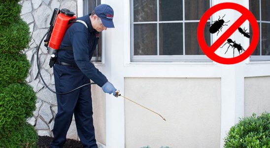 Zeytinalanı Fare İlaçlama böcek ilaçlama ve haşere kontrolü — ilaclama-tr.com
